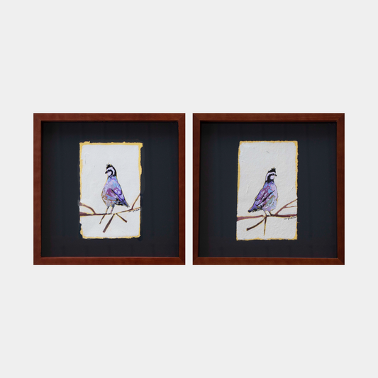 Complimentary Quail Set 1 - PAIR