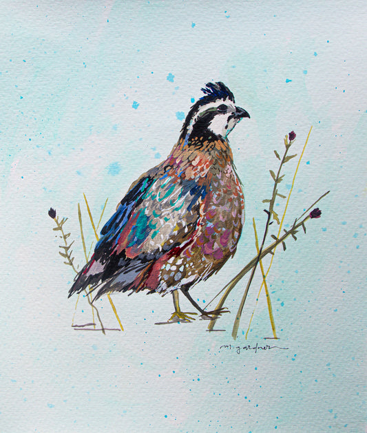 12x12" Matted Bobwhite Quail PRINT